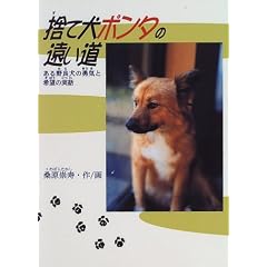 �̂Č��|���^�̉������\�����ǌ��̗E�C�Ɗ�]�̎��b (�h�L�������^�����b�E���V���[�Y)