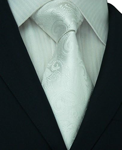 Zheli Men's Paisley Tie Jacquard Woven 100% Silk Tie NeckTie White, 58 x 3.25 inch