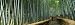Arashiyama, Kyoto Prefecture, Kinki Region, Honshu, Japan Photographic Poster Print by Panoramic Images, 24x8