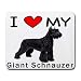 schnauzer18  - I Love My Giant Schnauzer