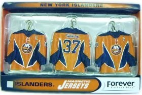 New York Islanders Alternate Jersey Magnet Set
