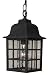 Craftmade Z271-07 Rust Grid Cage Traditional / Classic Single Light Down Lighting Medium Outdoor Pendant from the Grid Cage Collection
