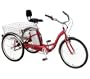 Zized! Supersized Tricruiser Electric Bike Upgrade