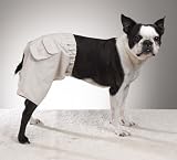 X-SMALL - Doggy Cargo Shorts