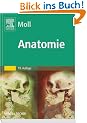 Anatomie: Kurzlehrbuch zum Gegenstandskatalog 1