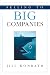 Selling to Big Companies by Jill Konrath