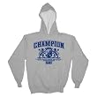 CHAMPION - Lions - Gray Hoodie