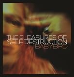 The Pleasures Of Self Destruction