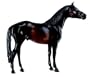 WAR ADMIRAL MED 6
