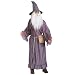 

The Lord Of The Rings Gandalf Adult