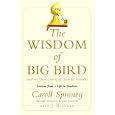 The Wisdom of Big Bird (and the Dark Genius of Oscar the Grouch): Lessons from a Life in Feathers