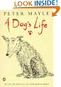 A Dog's Life