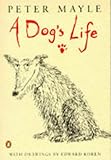 A dog's life