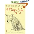 A Dog's Life