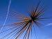 B of the Bang, Modern Steel Sculpture, City of Manchester Stadium, Manchester, Englan...
