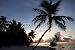 Wallmonkeys Peel and Stick Wall Decals - Palms at Sunset - Removable Graphic