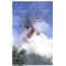 Bestselling books about Grief
