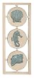 Sea Horse Shell Ocean Wall Art Bathroom