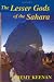 Book The Lesser Gods of the Sahara: Social Change and Indigenous Rights (Cass Series--History and Society in the Islamic World)