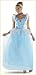 Cinderella Halloween Costumes Women's Deluxe