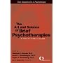 The Art and Science of Brief Psychotherapies: A Practitioner's Guide (Core Competencies in Psychotherapy)