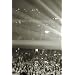 Mana - Acceso Total [DVD] [2004]