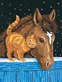 Eigenschaften Dimensions  / Pony and Kitten Pony und Katze Malen nach Zahlen