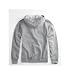 Volcom Bar Basic Hoodie image 2