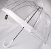 New Frame! Clear Dome Fulton Umbrella White