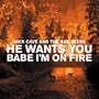 He Wants You/Babe I'm on Fire [Vinyl]