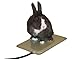 K&H Heated Resting Mat for Small Animals, 9 By 12 Inches