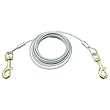 Heavy Weight Trolley Exerciser, 100-Feet - Silver