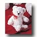 Little Kismet Bear by Gund