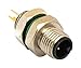BULGIN PXMBNI05FPM04AFL001 Sensor Cable, M5 Sensor Straight 4 Position Plug, Free End, 100 mm, 3.9 inch, Buccaneer M5 Series