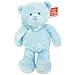 Gund Soft Toys - Blue Teddy