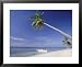 Alona Beach, Panglao Island, off Coast of Bohol, Philippines, Southeast Asia Scenic Framed Art Poster Print by Robert Francis, 31x25