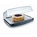 Vacuvin Barbeque Cooler / Cooling Plate Plastic Stainless Steel 31.5 cm x 38 cm x 10 cm