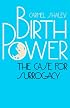 Birth Power: The Case for Surrogacy