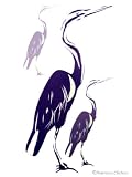 Check Out Colorful Birds/Storks Baby Wall Mural Stickers Wallies 41HJAvFEOOL. SL160 Check Out Colorful Birds/Storks Baby Wall Mural Stickers Wallies