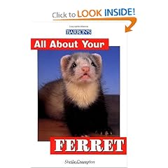 Barron's All About Your Ferret (All about Your Pet)