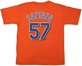 YOUTH Size Extra Large (18-20) MLB New York Mets Orange Santana Jersey Style T-shirt