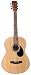 J. Reynolds 39 Folk-Size Acoustic Guitar - Natural
