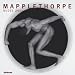 Robert Mapplethorpe �Nudes 2011�