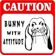 CAUTION: BUNNY rabbit pet hobby fun sign