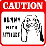 CAUTION: BUNNY rabbit pet hobby fun sign