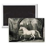 A Persian Horse, from 'Celebrated Horses', a.. - 3x2 inch Fridge Magnet - large magnetic button - Magnet