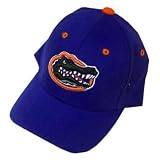 Florida Gators Royal Blue Infant 1Fit Hat