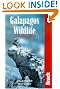 Galapagos Wildlife: A Visitor's Guide