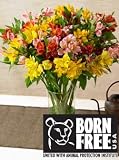 Born Free USA united with Animal Protection Institute