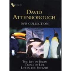 David Attenborough Collection -- Trials of Life, Life in the Freezer, Life of Birds [DVD]